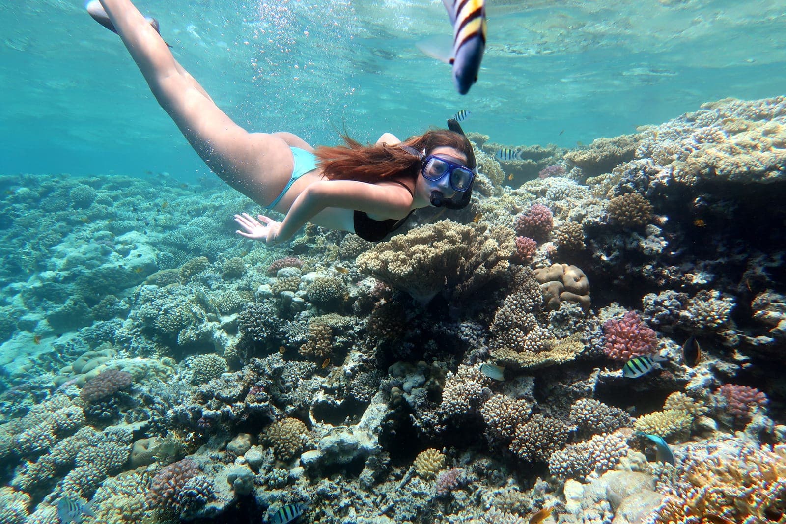 De beste snorkelexcursies in Hurghada 2025: Ontdek de fascinerende onderwaterwereld van de Rode Zee